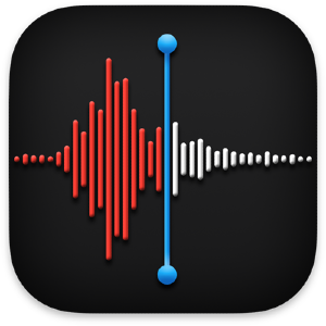 App icon for Voice Memo (Apple)