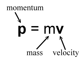 image showing the formula for momentum